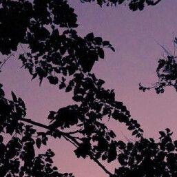 嘉年华-整曲 伴奏