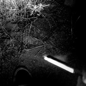 LIVE IN FEAR (feat. GAB)