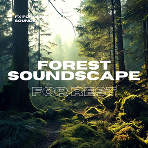 Forestation Sounds for Sleep