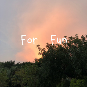 For Fun（翻自 Melvin.K）