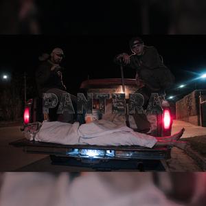 Pantera (feat. Visitore CHC)