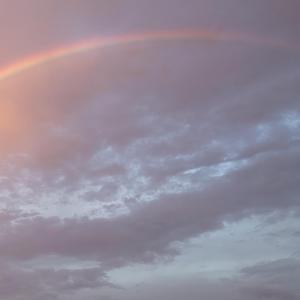 你出现在我昨夜的梦里