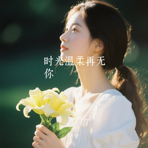 时光温柔再无你