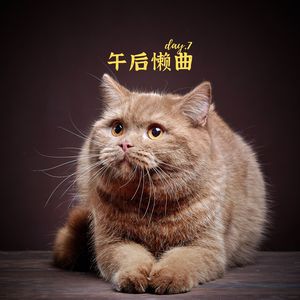 柔软音符 (钢琴)