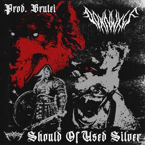 Should of Used Silver