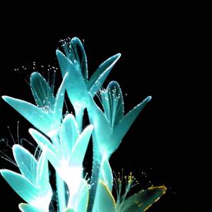 Baby Teeth (Live at Cjsw) (Live at Cjsw)