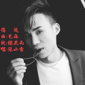 伤迹【张小雷】 伴奏