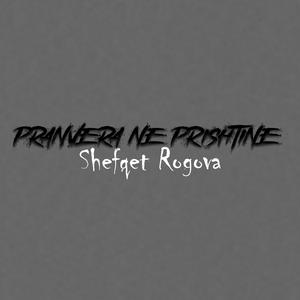 Pranvera ne Prishtine