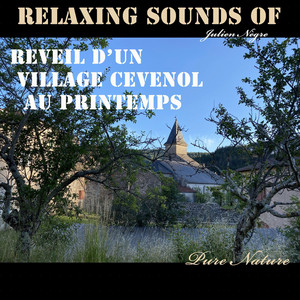 Réveil du Village, Oiseaux et Fontaine, Tourterelles Hirondelles martinets, cloches, Ambiances Domestiques & Véhicules, Alzon-Cévennes France, Pt. 1
