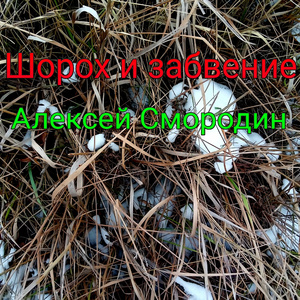 Шорох и забвение