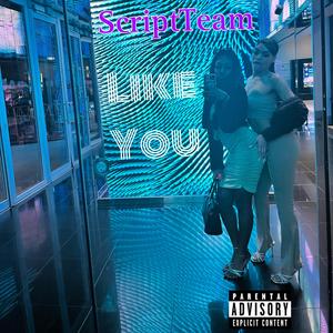 Like You (feat. Script Team)