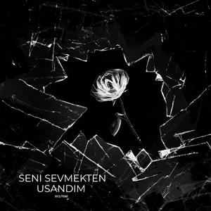 Seni Sevmekten Usandım
