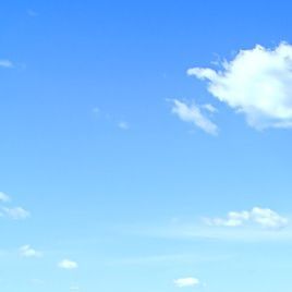 真的喜欢音乐 (4)