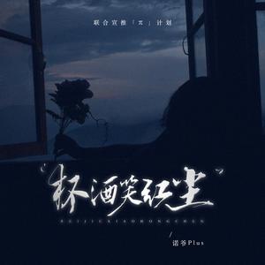 杯酒笑红尘 (DJ豪大大版)