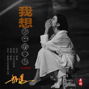 我想做你的手机（DJ林祥版）- 伴奏