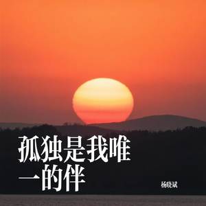 孤独是我唯一的伴