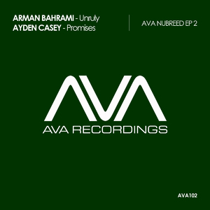 Promises (Original Mix)