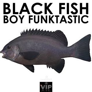 Black Fish (Original mix)