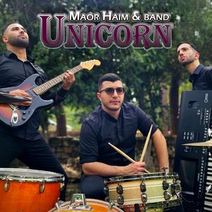 Unicorn (cover)