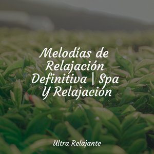 Burbujas En El Tiempo