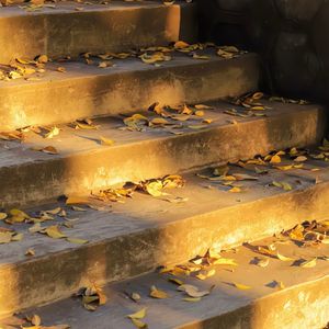 给我一个理由忘记