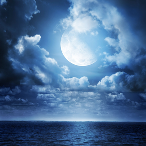 里面（Inside）（Cover 沈以诚）