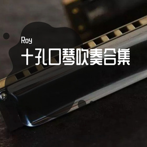 双门洞-十孔口琴