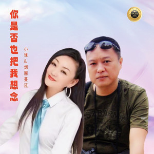 你是否也把我想念【DJ对唱版】