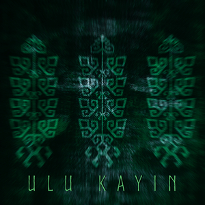 Ulu Kayın
