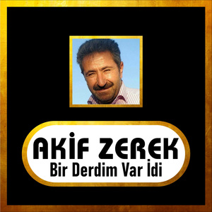 Çagırdım Sen Gelesen