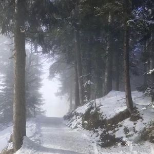 過ぎ去った今日を