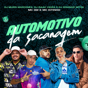 Automotivo da Sacanagem