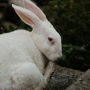 Низкое небо (Prod. by Franz)