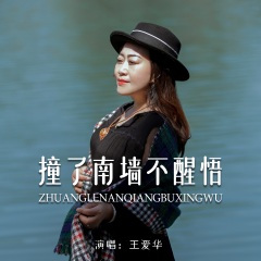撞了南墙不醒悟 (DJ默涵版)