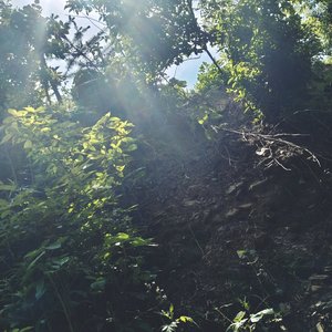 清新温
