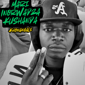 Mari Inorwadza Kushanda