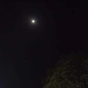 浪漫主义小红歌