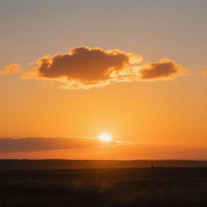 红尘岁月似流水
