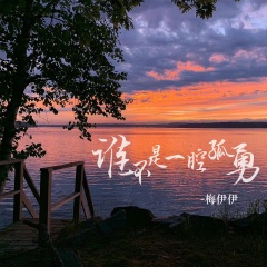 谁不是一腔孤勇 (Live)