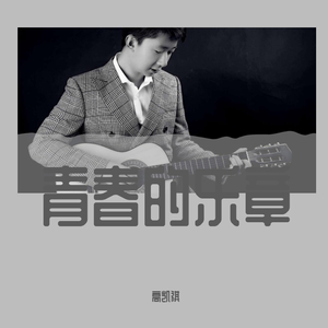 青春的乐章