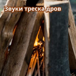 Звуки зимнего вечера
