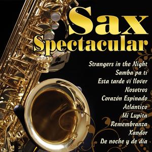 Xandor (Instrumental Sax)