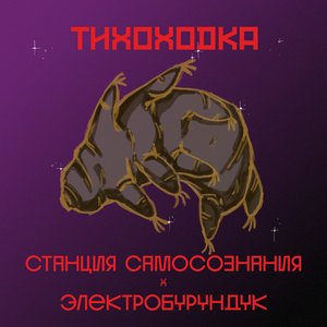 Тихоходка