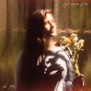 שוב חלמתי שחציתי את הרמזור באדום