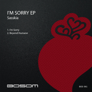I'm Sorry (Original Mix)