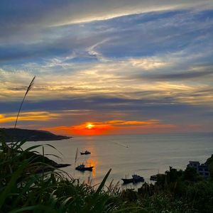 《小鱼的梦幻海洋之境》