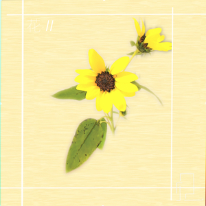 花-II