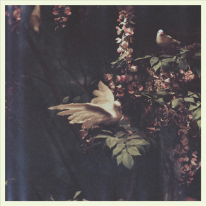 If You've Got Trouble