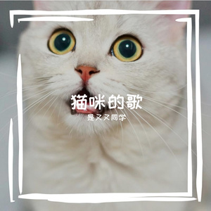 雨天，猫咪的心事