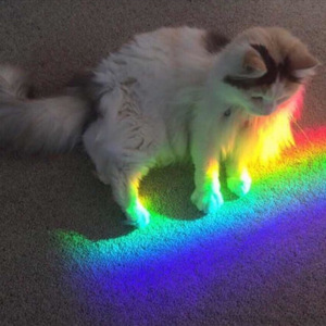 First Meet(Pord.Rainbow-T)